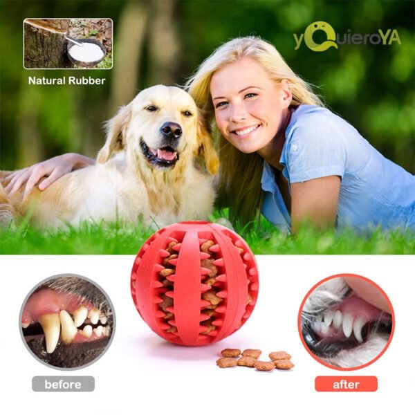 Juguete De Pelota De Goma - Image 4