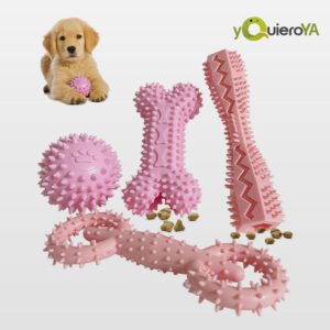 Set de 4 juguetes para cachorros