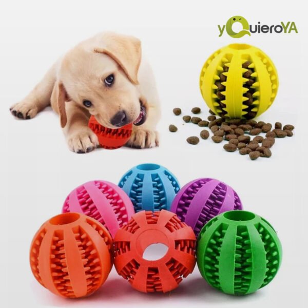 Juguete De Pelota De Goma